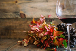Charla y cata de vinos en el MTIV!
