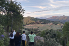 Le brame du cerf et du daim - Camping el Solsonès