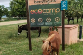 Relaxing getaway at the Ecocamp Vinyols campsite