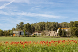 Visit ECO Vins el Cep x Camins del Nord