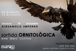 Ornithological outing to the Aiguamolls de l'Empordà