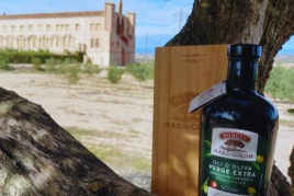 Sabors d'Olivera: Tast, terra i tradició a Mas de Colom, Casa…