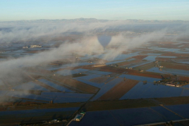 Gaudeix del Delta de l'Ebre i l'mpordà de manera diferent