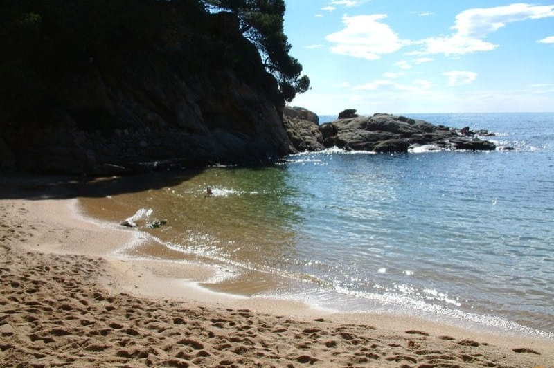 Castell - Platja d'Aro (Ala)