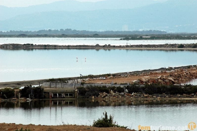 Sant Jaume d'Enveja (Elta De Ebre)