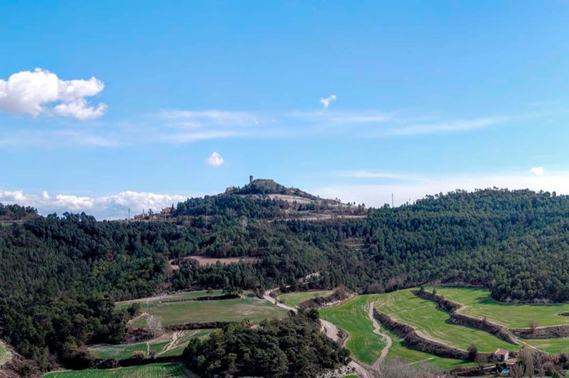 Argençola ( Vista Panoramica)