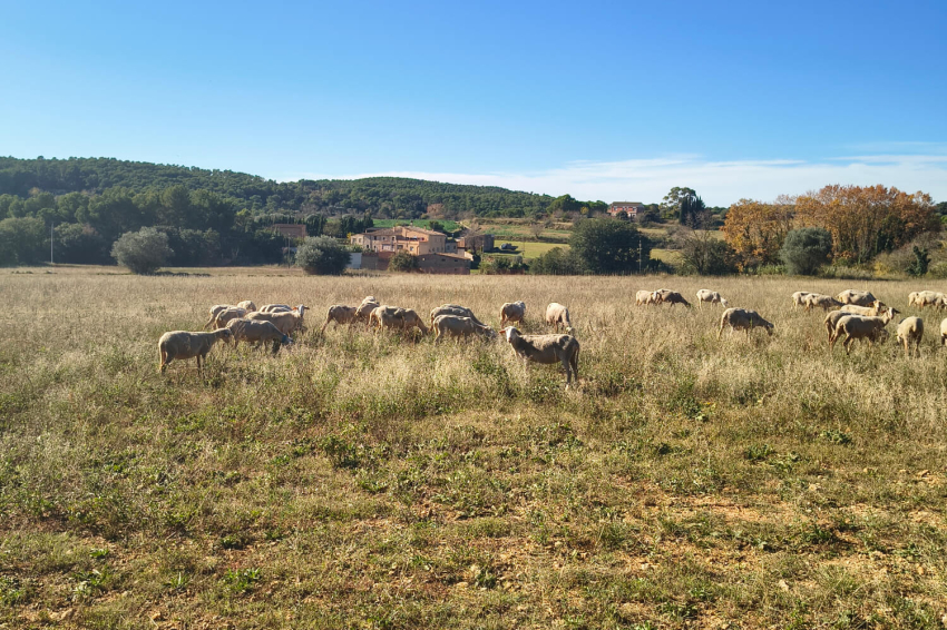 Pontós (7 Pontos Entorn)