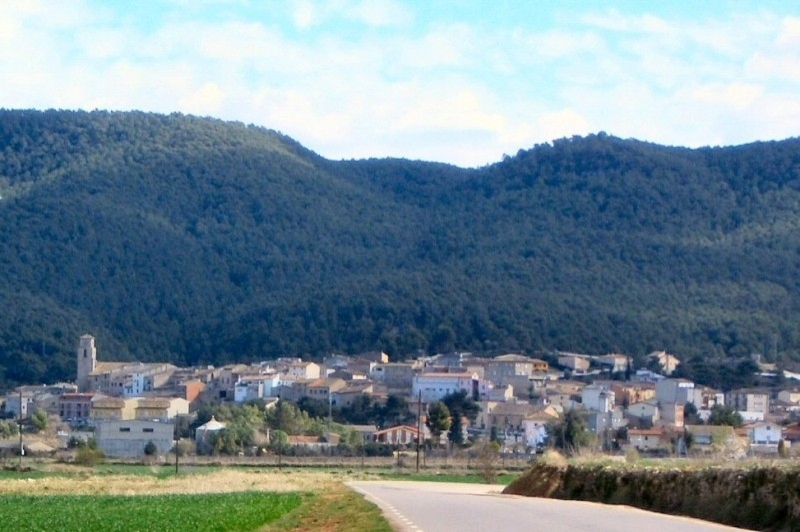 La Llacuna (Vistes)