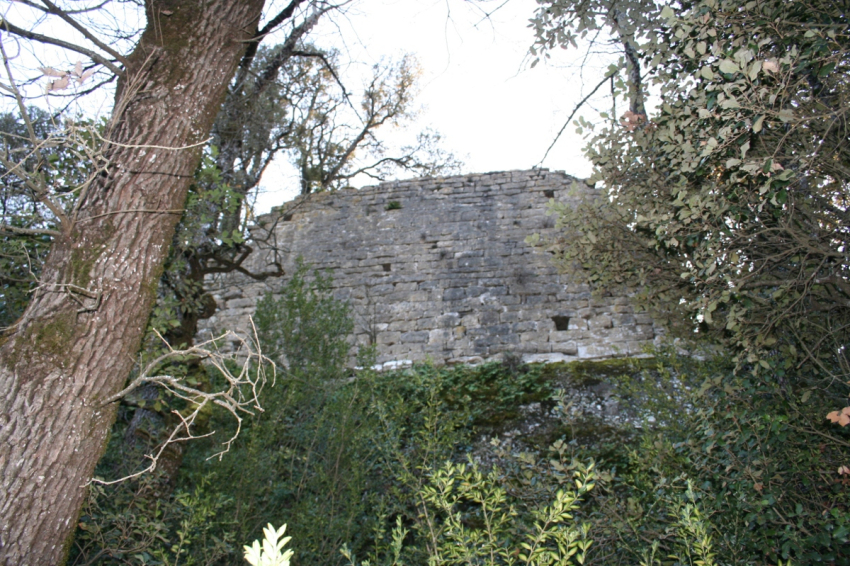 Les Masies de Roda (Castell De S Avellana)