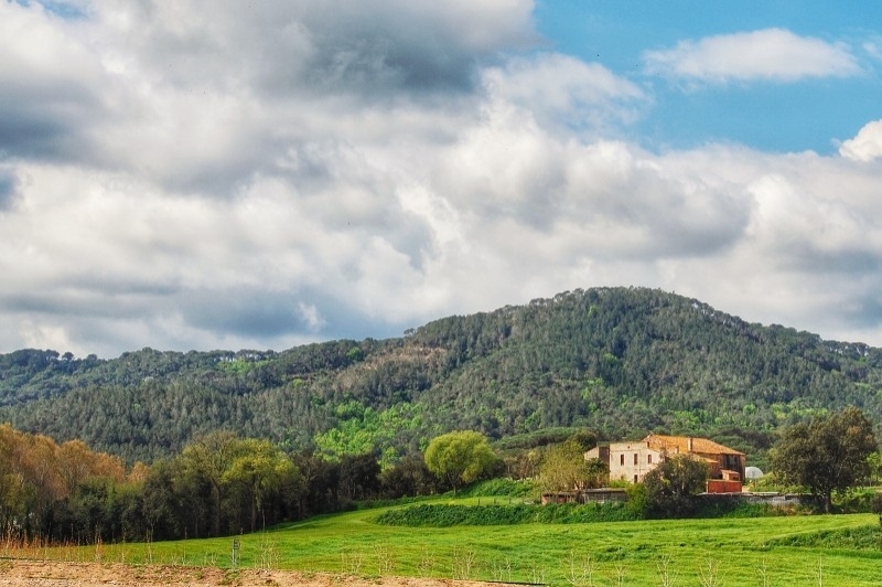 Fogars de la Selva (Paisatge)