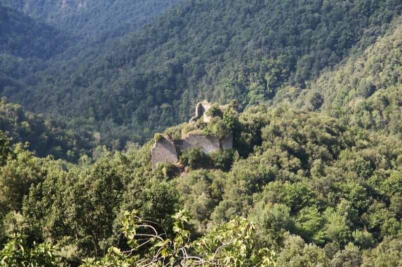 Susqueda (Castell De Fornils)