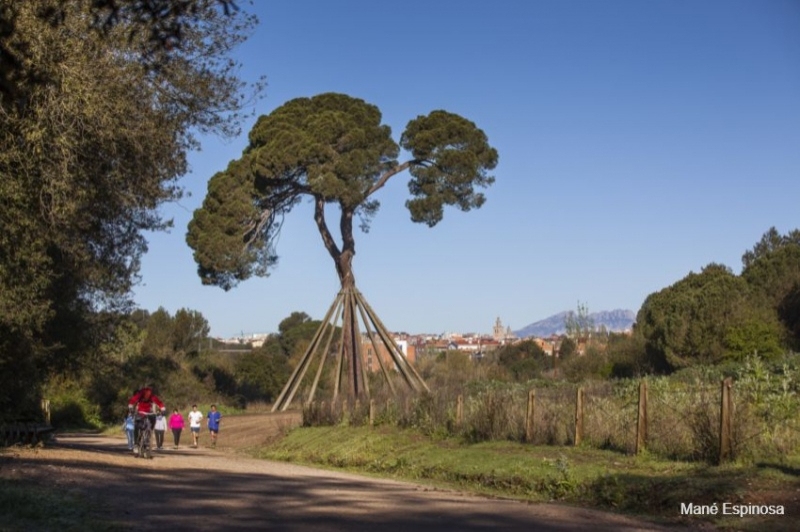 Sant Cugat del Vallès (Parc Collserola Pi D En Xandri 1)