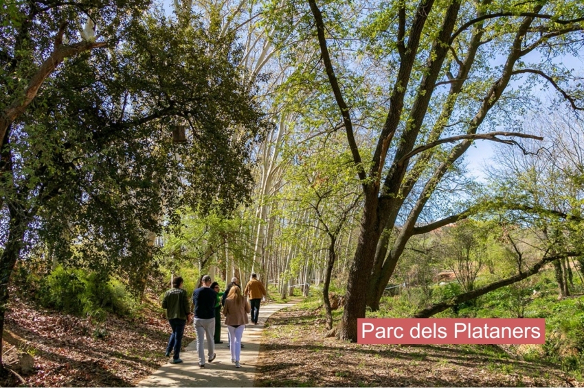 Santa Perpètua de Mogoda (Parc Dels Plataners)