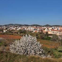 Caldes de Montbui