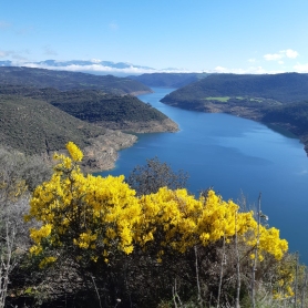 La Baronia de Rialb