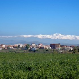 Sant Bartomeu del Grau