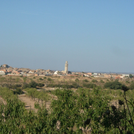 Sant Martí de Riucorb