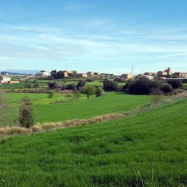 Sant Mateu de Bages