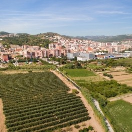 Sant Vicenç dels Horts