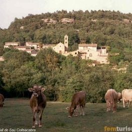 Tavèrnoles