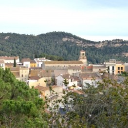 Vallbona d'Anoia