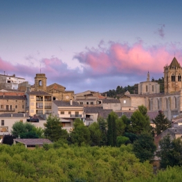 Vallbona de les Monges