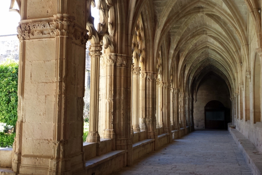 Cistercian Route: Culture, fauna and flora around Santes Creus