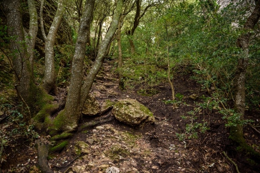 Ruta Castellsapera i Turó de Tres Creus