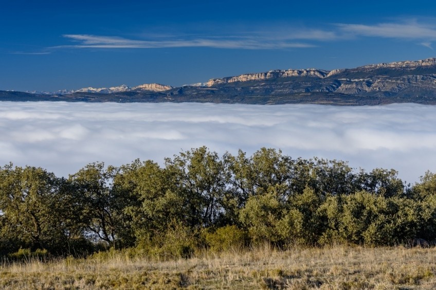 Pala Alta desde la Virgen de Montalegre