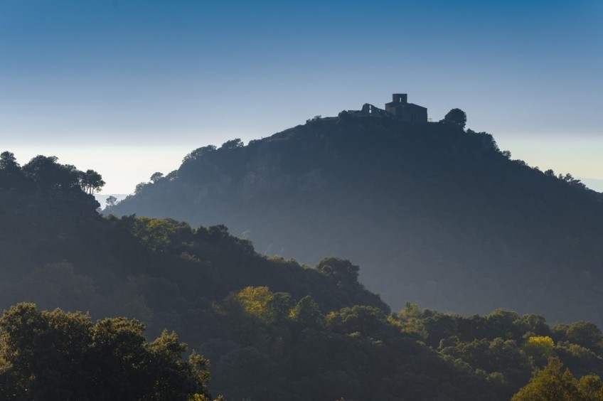 Tagamanent des dels pous de l'Avencó d'Aiguafreda