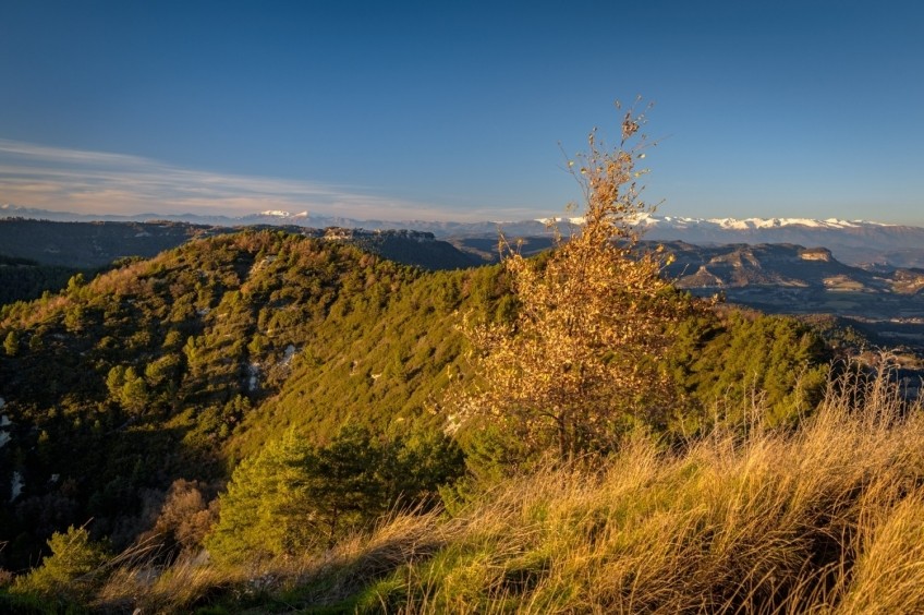 Turó de la Creu de Gurb des de Sant Andreu de Gurb