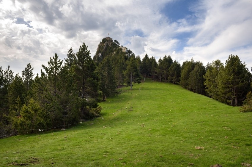 Cim d'Estela, Roc d'Auró i Torreta de l'Enginyer