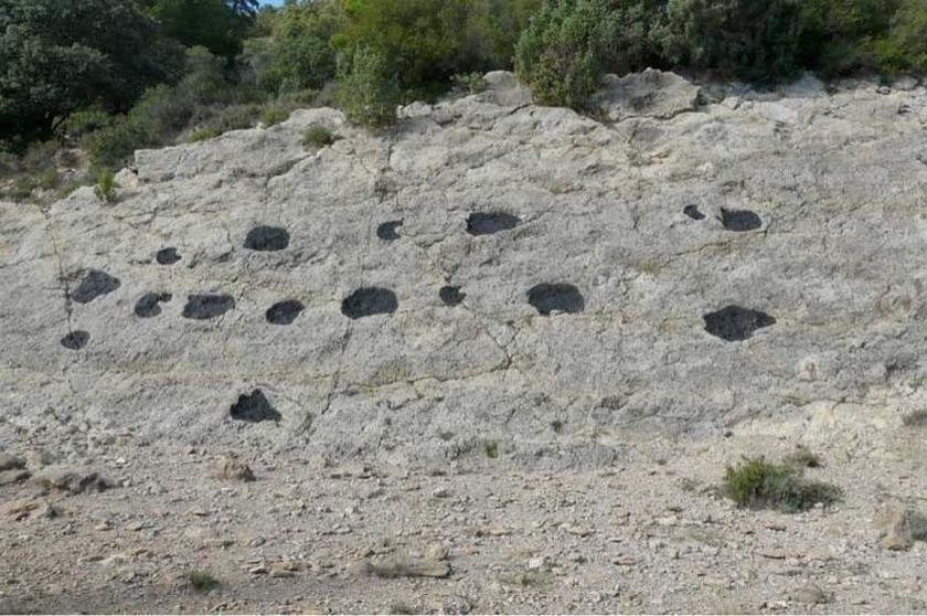 Terre de dinosaures au Pallars Jussà