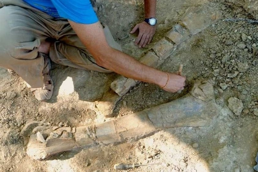 Tierra de dinosaurios en el Pallars Jussà