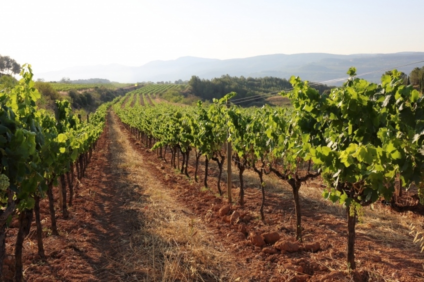 Grand Tour de Catalunya - Tramo 1. Viñedos con gusto a mar: de Barcelona a Tarragona