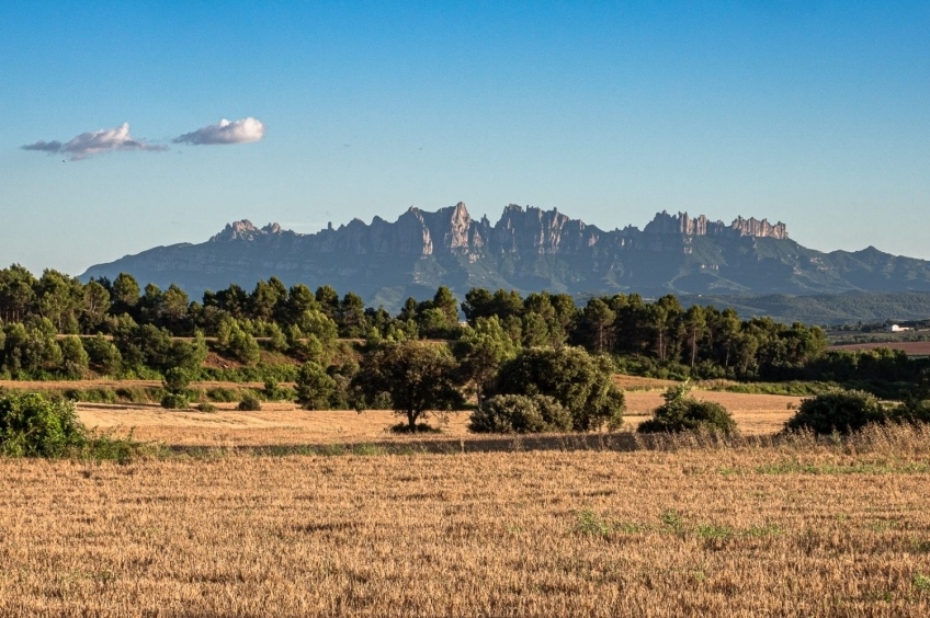 Grand Tour de Catalunya - Section 1. Vineyards with taste in the sea: from Barcelona to Tarragona