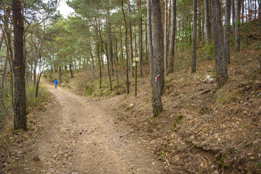 Tossal de la Baltasana ou la Tour de Prades (circulaire)