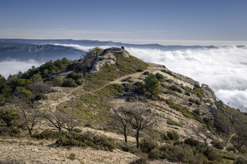 Roca Corbatera (Montsant) de Sant Joan del Codolar (circulaire)