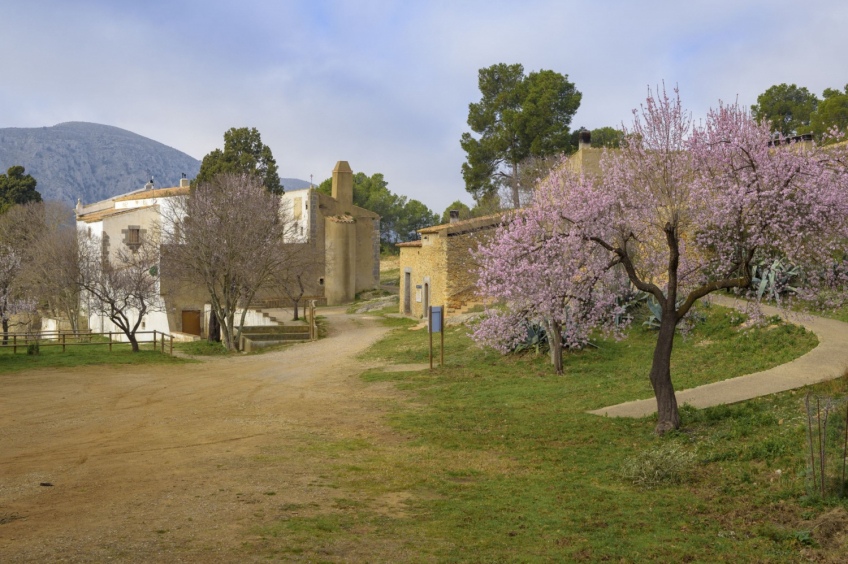 Castell del Montgrí des de Torroella (circular)