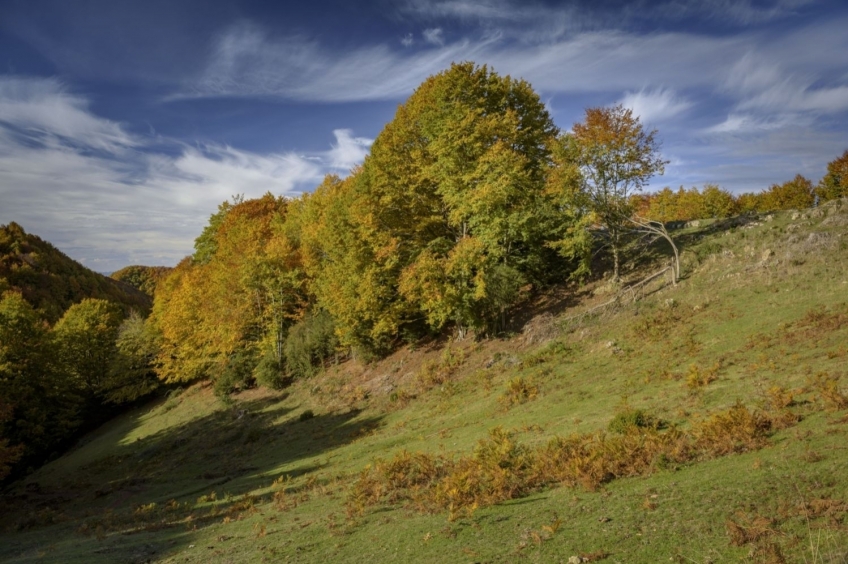 Puigsacalm des de la collada de Bracons