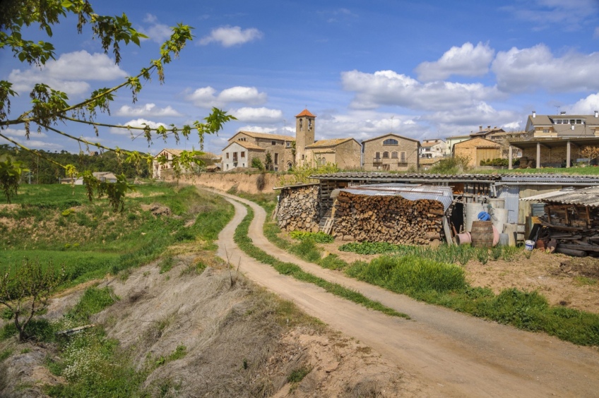 El Mujal per la carena (circular)