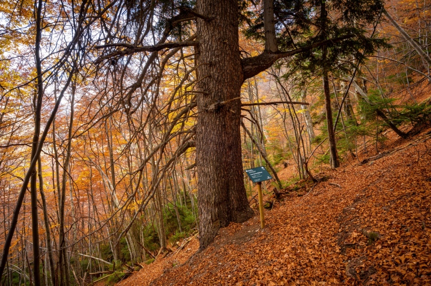 Tour of the Gresolet Valley