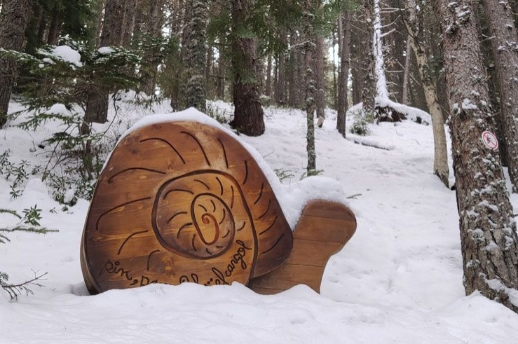 Adéntrate en el Bosque de los Menairons en Andorra