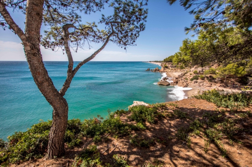 From south to north along the Costa Daurada by electric car