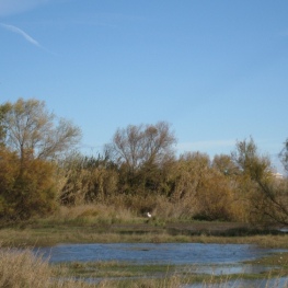 Ruta Circular en el tramo sur del camino del río en Lleida