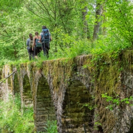 Route le long du sentier PR C-93 de Santa Eugenia de Berga