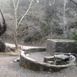 Bosque del Paraíso en La Llacuna