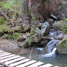 Chemin de la Ribera à Alp