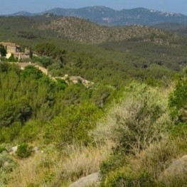 Chemin du Vieux Château d&#39;Olivella