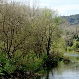 El Congost i la muntanya dels sants Metges a Sant Julià de&#8230;